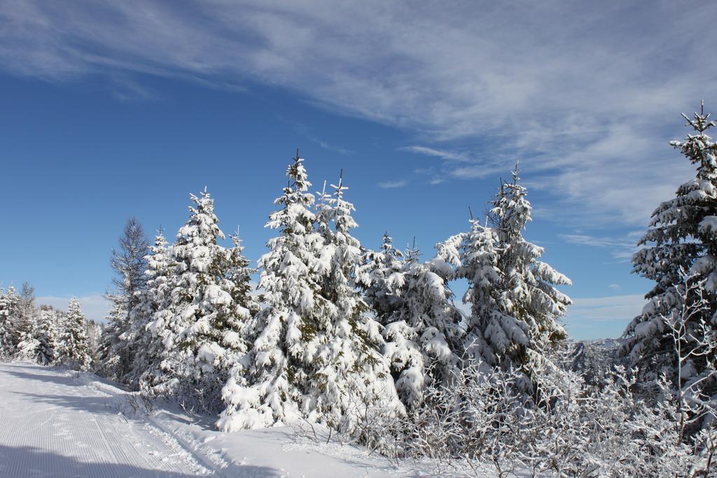 Rifugio Verenetta Casere Verena Exteriér fotografie